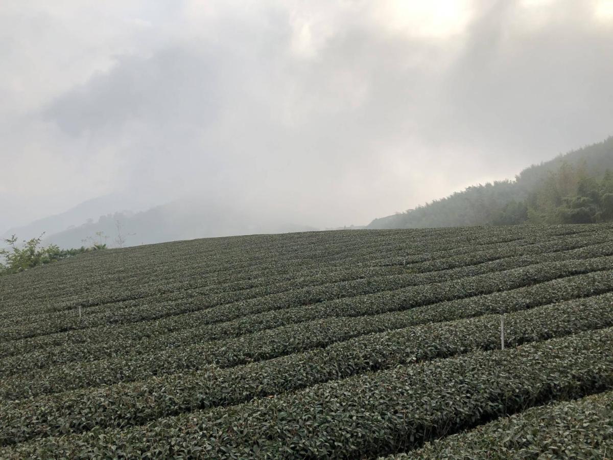 悟 佐茶 Satori Tea Vila Leye Exterior foto